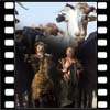 don quixote