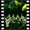 symphony odyssea musica